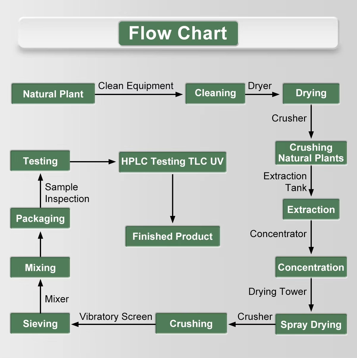 Production process of Echinacea extract Production process of Echinacea extract