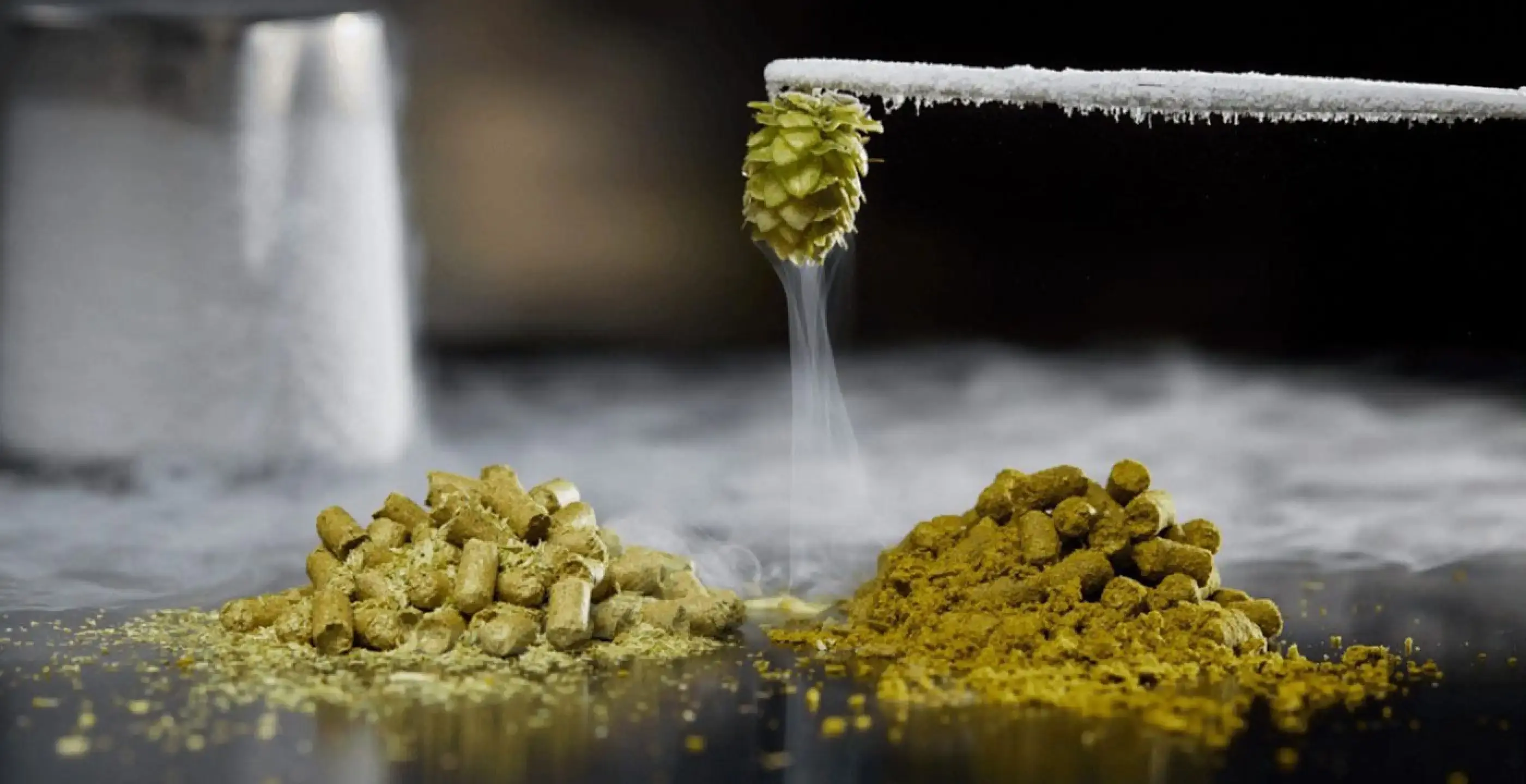 Hops extract powder Hops extract powder