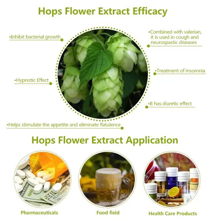 Hops flower extract applications Hops flower extract applications