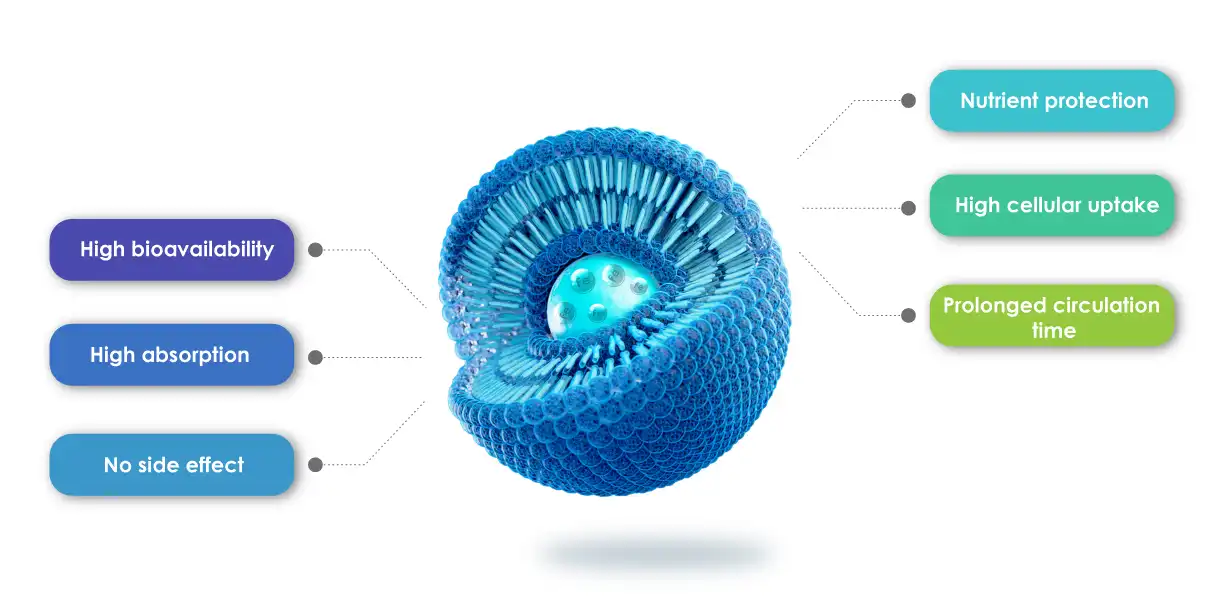 Liposomal Advantages Liposomal Advantages