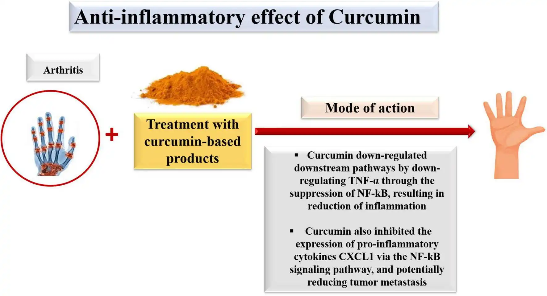 Liposomal Curcumin's Joint Health Benefits Liposomal Curcumin's Joint Health Benefits