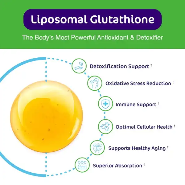 Liposomal Glutathione Application Liposomal Glutathione Application