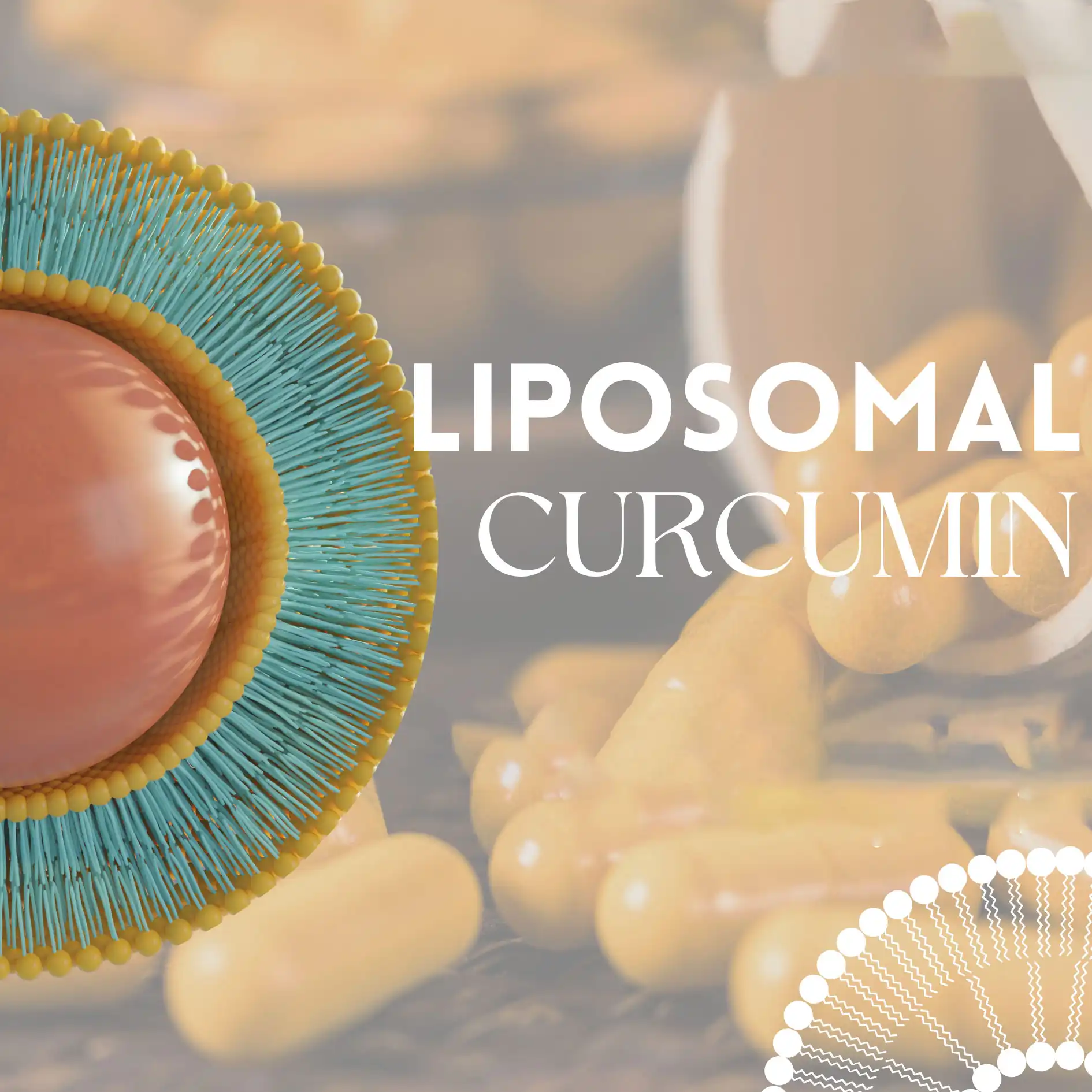 Liposomal curcumin powder Liposomal curcumin powder