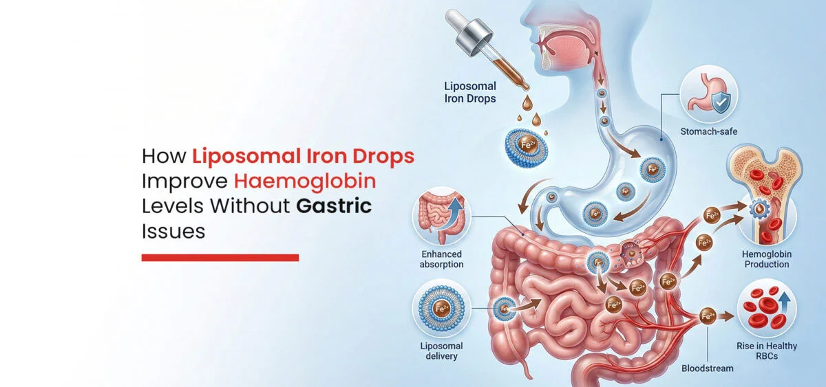 Liposomal Iron Powder Benefits Liposomal Iron Powder Benefits