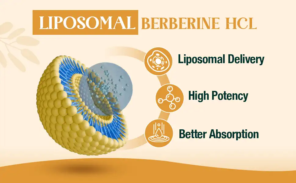Liposomal berberine advantages Liposomal berberine advantages