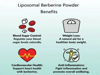 Liposomal berberine benefits Liposomal berberine benefits