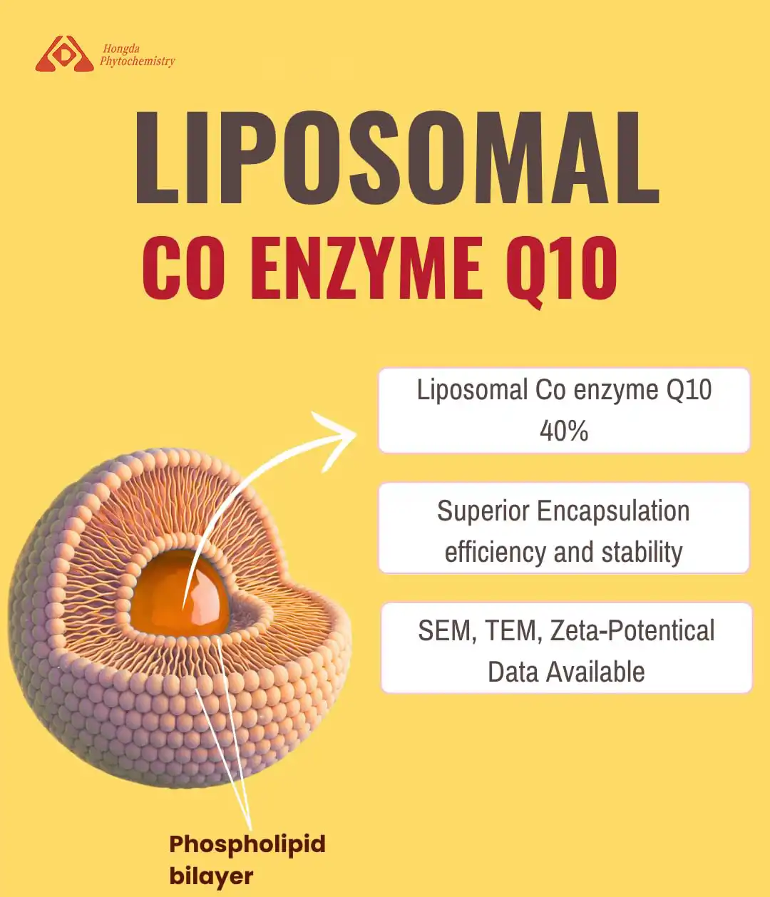 Liposomal COQ 10 Benefits Liposomal COQ 10 Benefits
