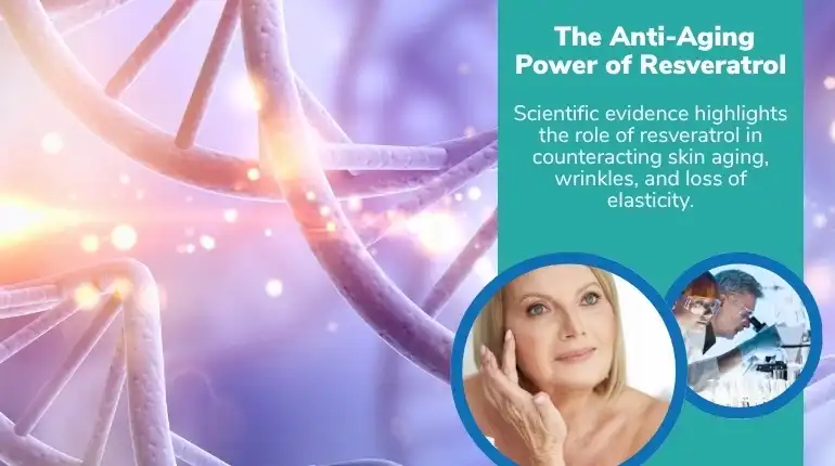 Liposomal Resveratrol Powder Support Healthy Cellular Aging Liposomal Resveratrol Powder Support Healthy Cellular Aging