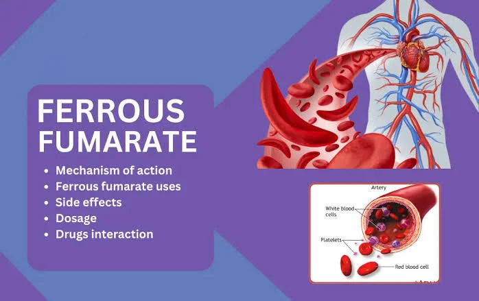 How Ferrous Fumarate Powder Reaches the Bloodstream How Ferrous Fumarate Powder Reaches the Bloodstream