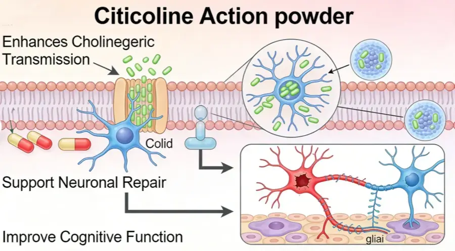 Citicoline Sodium Powder as a Dosing Ingredient Citicoline Sodium Powder as a Dosing Ingredient
