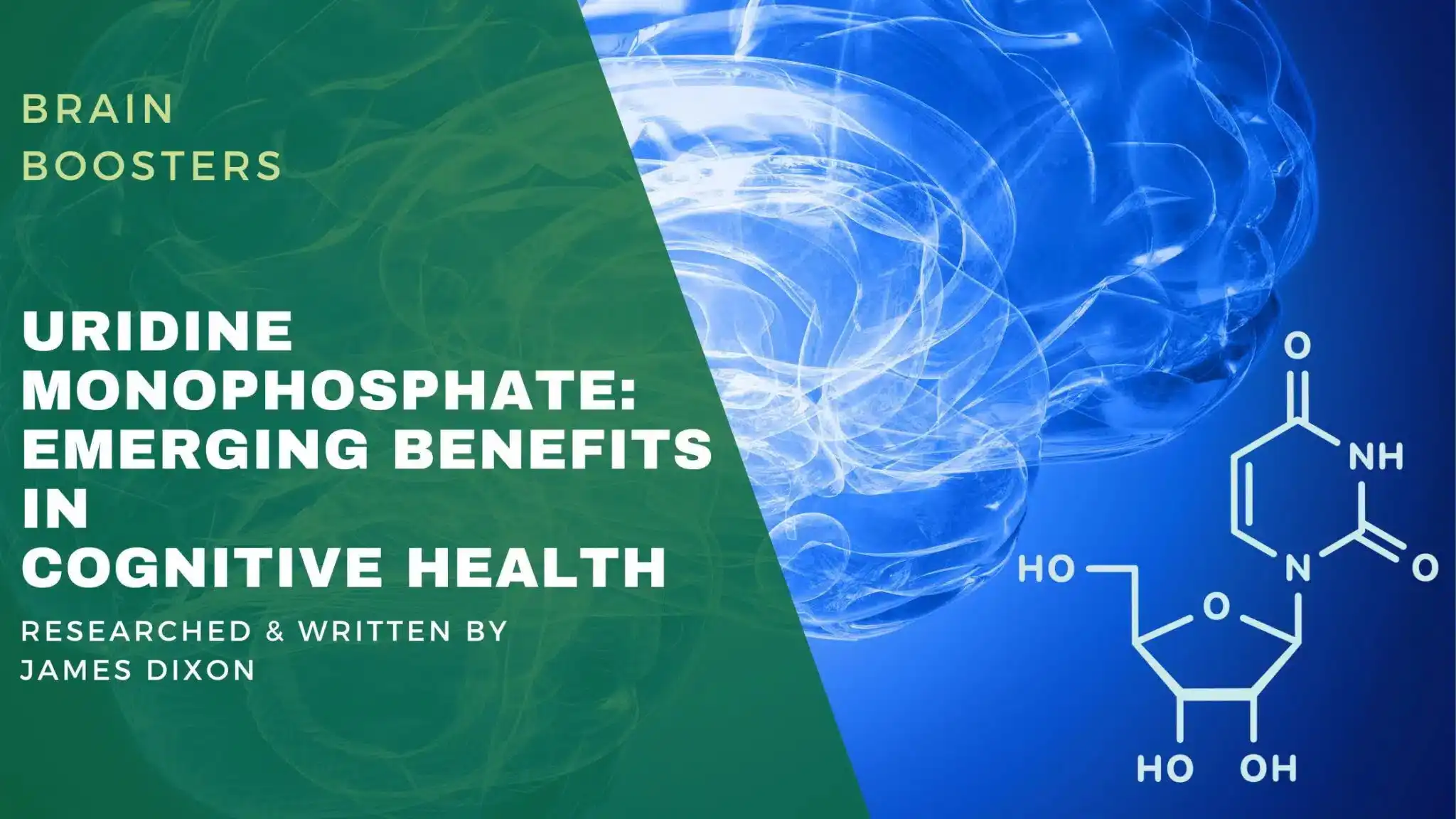 uridine 5'-monophosphate disodium salt for cognitive uridine 5'-monophosphate disodium salt for cognitive