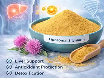 How Does Liposomal Silymarin Powder Perform in Functional Drinks?