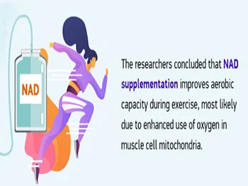 How Does Liposomal Nad Powder Support Athletic Recovery?