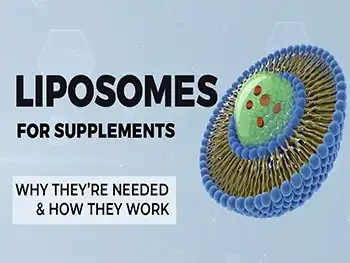 What Is the Best Application for Liposomal Resveratrol Powder?