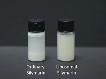 Why Choose Liposomal Silymarin Powder vs Standard Silymarin Powder?