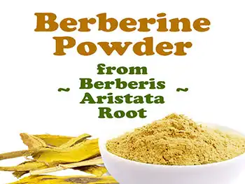 How Can You Source High‑Quality Berberine Powder Bulk?