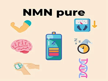 Why Is Liposomal NMN Powder Gaining Popularity in Nutraceuticals?