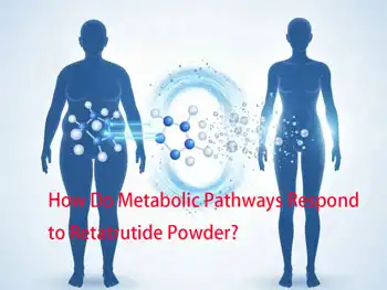How Do Metabolic Pathways Respond to Retatrutide Powder?