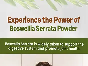 Trending 2025: Formulate Winning Supplements with Organic Boswellia Serrata Powder