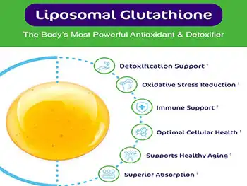 What Are the Key Benefits of Liposomal Glutathione Powder?