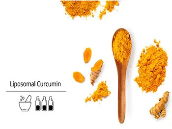 What Are the Key Features of Premium Liposomal Curcumin Powder?