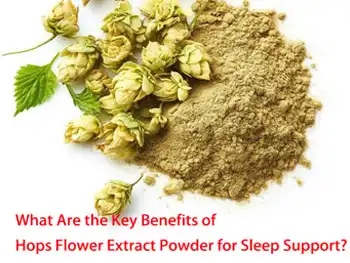 What Are the Key Benefits of Hops Flower Extract Powder for Sleep Support?
