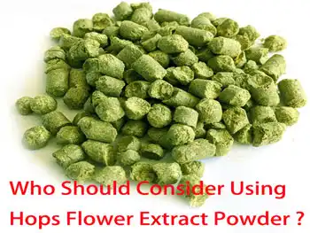 Who Should Consider Using Hops Flower Extract Powder Supplements?