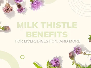 Why Choose Silymarin Powder Over Milk Thistle Extract Standard Forms?