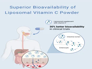 What Are the Applications of Liposomal Vitamin C Powder Bulk?