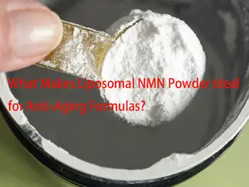 What Makes Liposomal NMN Powder Ideal for Anti-Aging Formulas?