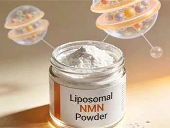 What Are Liposomal NMN Powder Applications in Wellness Products?