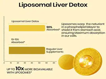 What Are the Top Benefits of Liposomal Silymarin Powder for Liver Health?