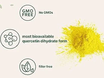 Quercetin Dihydrate Powder: Enhancing Bioavailability for Better Results