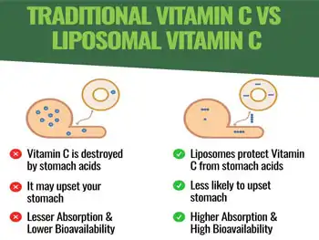 Liposomal Vitamin C Powder Bulk vs Standard Vitamin C Powder?