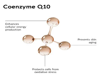 How Does Liposomal Coenzyme Q10 Powder Enhance Skin Products?