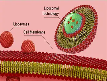Best Liposomal Iron Powder for Nutraceutical and Pharma Brands?