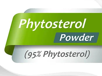 Answering Market Needs: Pine Phytosterol Powder in Vegan & Plant-Based Products