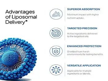 Can Liposomal NMN Powder Enhance Product Differentiation?