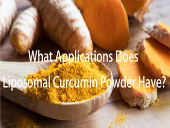 What Applications Does Liposomal Curcumin Powder Have?