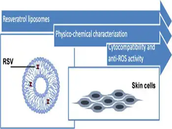 Why Choose Liposomal Resveratrol Powder Over Regular Resveratrol?