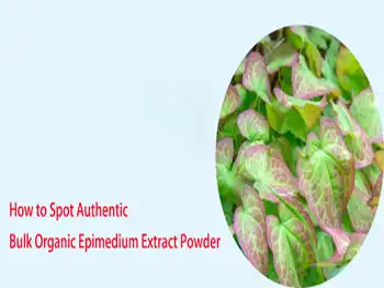 How to Spot Authentic Bulk Organic Epimedium Extract Powder?