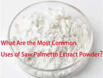What Are the Most Common Uses of Saw Palmetto Extract Powder?
