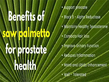 Can Saw Palmetto Extract Powder Support Healthy Aging?