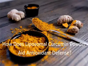 How Does Liposomal Curcumin Powder Aid Antioxidant Defense?