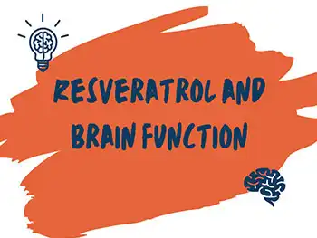 What Makes Liposomal Resveratrol Powder Superior in Bioavailability?