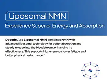 Top Questions About Liposomal NMN Powder Absorption and Bioefficacy?