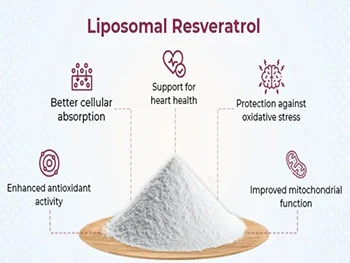 What Features Define High-Quality Liposomal Resveratrol Powder?