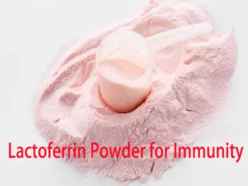 What Are the Key Benefits of Pure Lactoferrin Powder for Immunity?