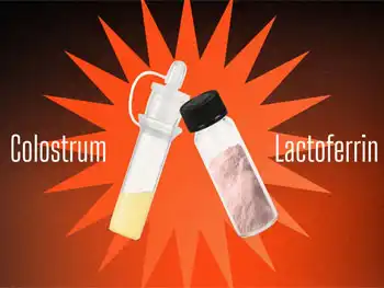 Pure Lactoferrin Powder vs Colostrum: Which Is the Better Choice?