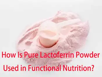 How Is Pure Lactoferrin Powder Used in Functional Nutrition?